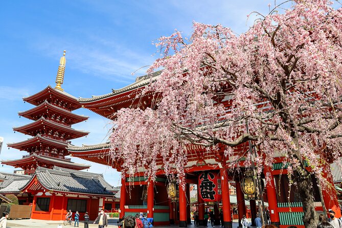 1-Day Tokyo Bus Tour - Key things I’d bet on in this Tokyo coach day