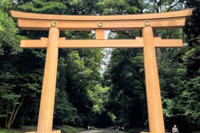 1-Day Tokyo Bus Tour - Meiji Jingu and the Imperial Palace area: calm after the city noise