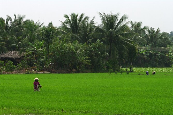 Adventure Cu Chi Tunnels and Mekong Delta Tour From HCM - Should you book this Adventure Cu Chi Tunnels and Mekong Delta tour from HCM?