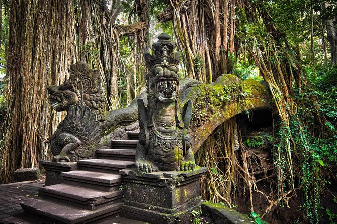 All-Inclusive Ubud Private Tour - Tegalalang rice terraces and subak: the view plus the story