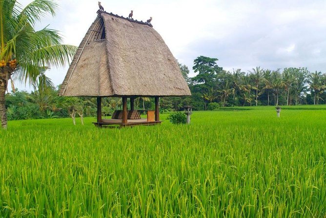 All-Inclusive Ubud Private Tour - Lunch at D Alas Warung plus the adrenaline swing moment