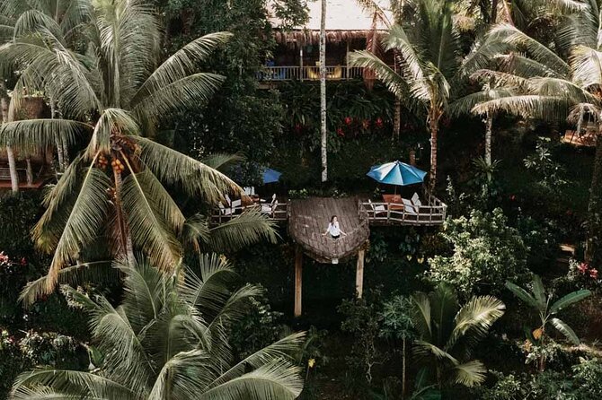 All-Inclusive Ubud Private Tour - Tegenungan Waterfall: roaring finale and time for the view