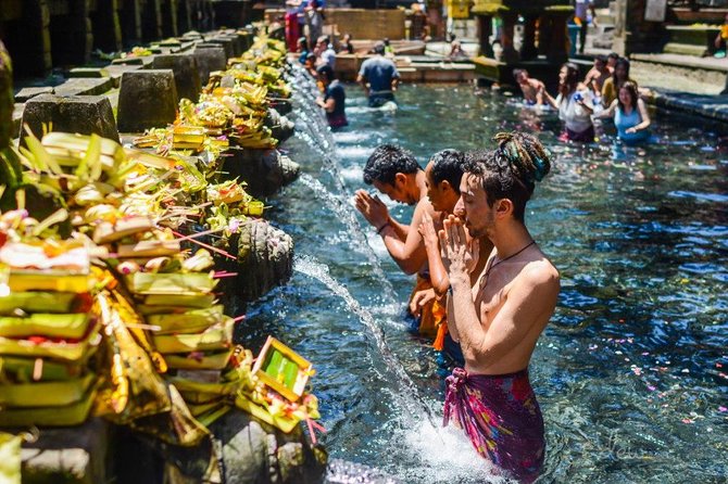 All-Inclusive Ubud Private Tour - Price and value: what you’re really paying for at $100