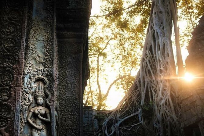Angkor Wat Sunrise & 3 Main Temples with Breakfast – Small Group - Price and value: $15 tour price plus the Angkor pass reality check