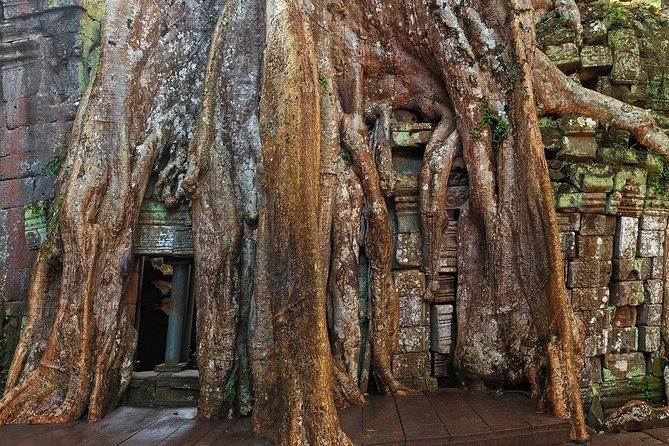 Angkor Wat Sunrise or Sunset Tour with Guide from Siem Reap - Stop 3: Ta Prohm, the tree temple, and why the guide helps your photos