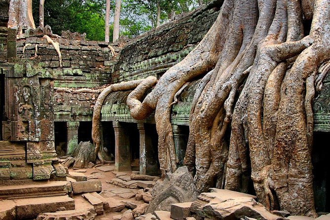 Angkor Wat Sunrise or Sunset Tour with Guide from Siem Reap - Transportation comfort and pacing: air-conditioned vehicles, cold towels, and a small group