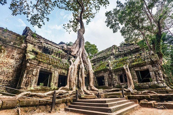 Angkor Wat Sunrise tour with Small - Group and Guide tours - Morning energy: what you’ll do before the light