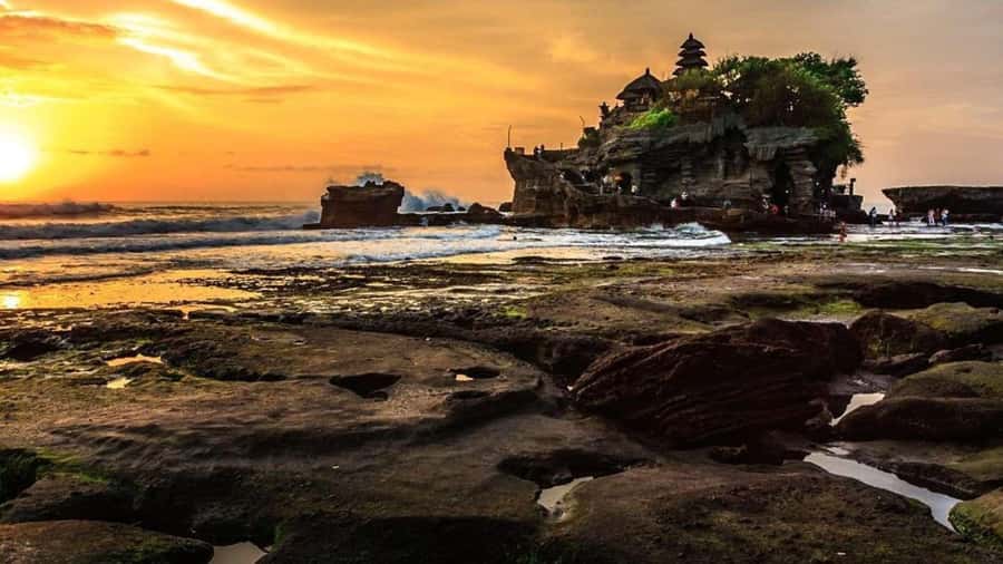 Bali: Customized Private Car Charter with Optional Guide - How customization works in a 6–10 hour day