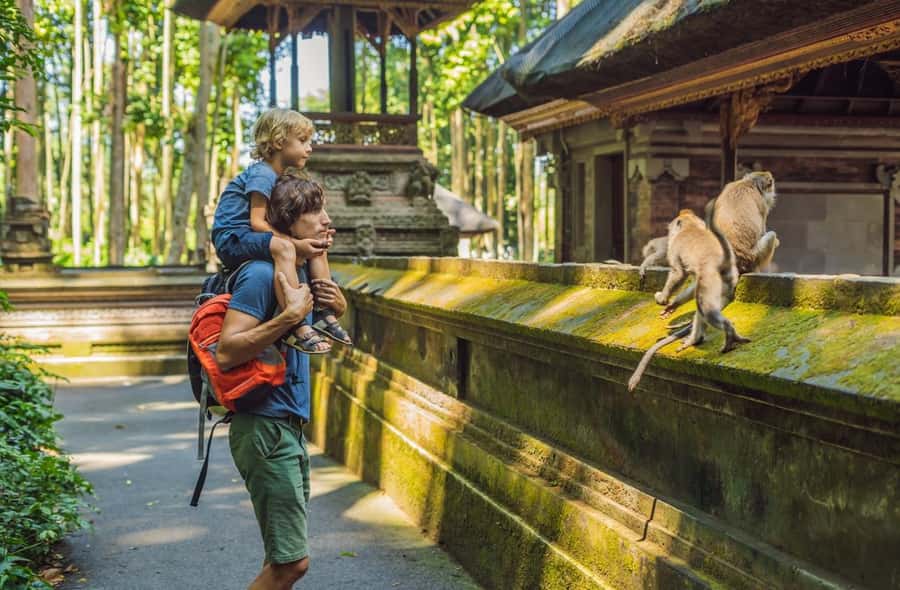 Bali: Customized Private Car Charter with Optional Guide - Optional add-ons: ATV, massage, pro photos, and Kecak at Uluwatu