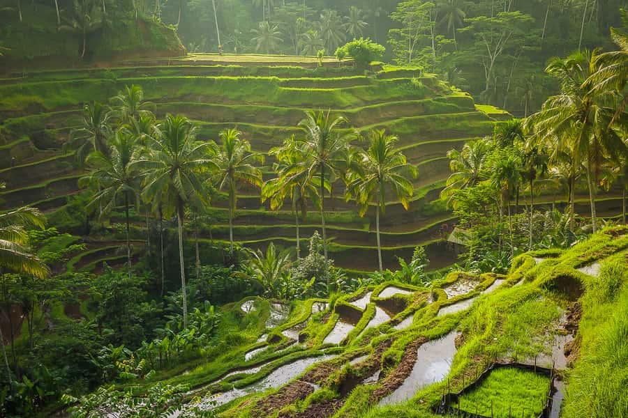 Bali: Full-Day Instagram Highlights Tour - What to Bring (and Wear) So You Don’t Hate This Day