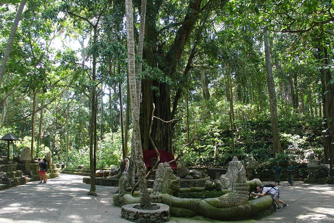 Bali Full-Day Traditional Village Sightseeing Trip All Inclusive - Sacred Monkey Forest: fun, but take monkey safety seriously
