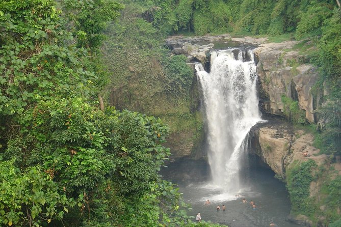 Bali Full-Day Traditional Village Sightseeing Trip All Inclusive - Ubud King Palace area and the Art Market reality check