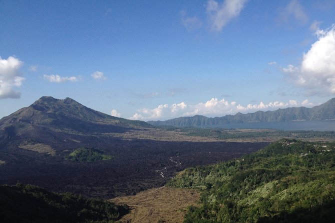 Bali Full-Day Traditional Village Sightseeing Trip All Inclusive - Artisan villages: batik, gold and silver, and woodwork