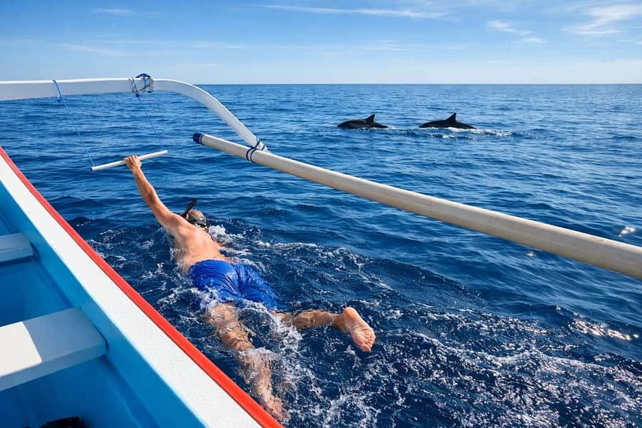 Bali/Lovina: Guided Dolphin Watching & Sunrise Boat Snorkel - How dolphin spotting works: safe distance and calmer captains