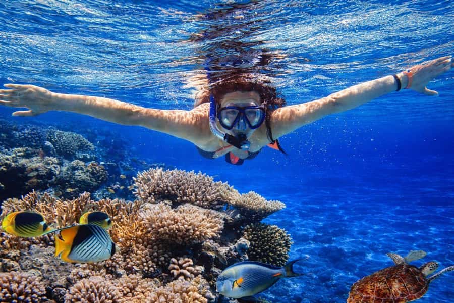 Bali/Lovina: Guided Dolphin Watching & Sunrise Boat Snorkel - Price and value: why $18 can feel like a steal