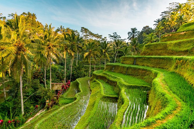 Bali Private Car Hire with Driver - Traffic reality: why your day needs a smart shortlist