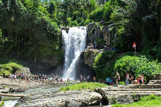 Bali Private Car Hire with Driver - Who this Bali car hire is perfect for