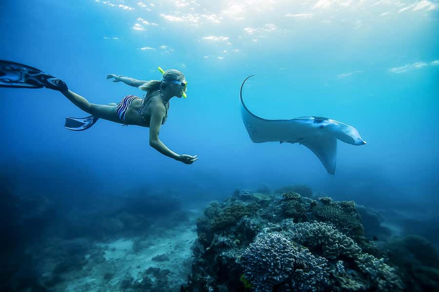 Bali: Swim with Manta Rays in Penida, Optional Lunch & Kayak - Key takeaways before you go