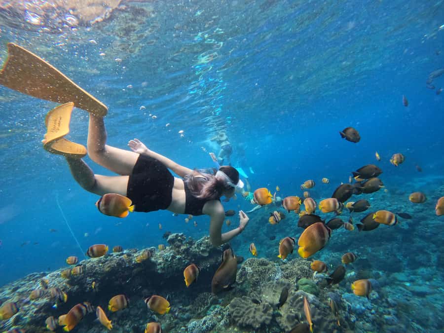 Bali: Swim with Manta Rays in Penida, Optional Lunch & Kayak - The other snorkeling stops that keep the day worth it