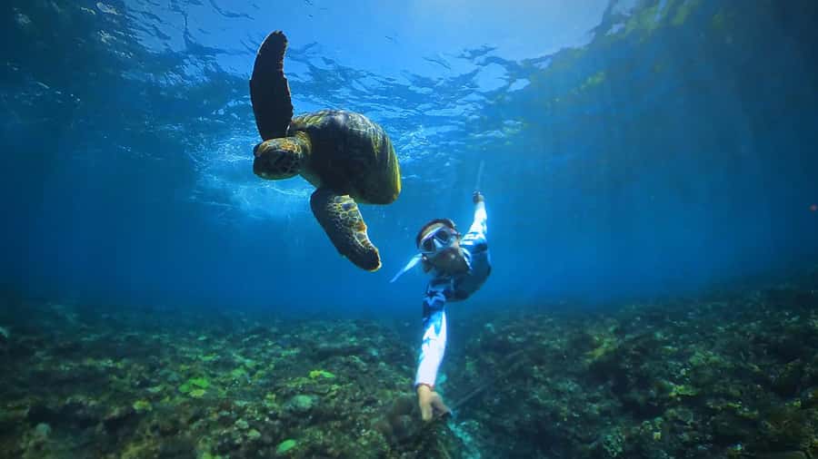 Bali: Swim with Manta Rays in Penida, Optional Lunch & Kayak - Mangrove kayaking or a 30-minute massage for the cool-down