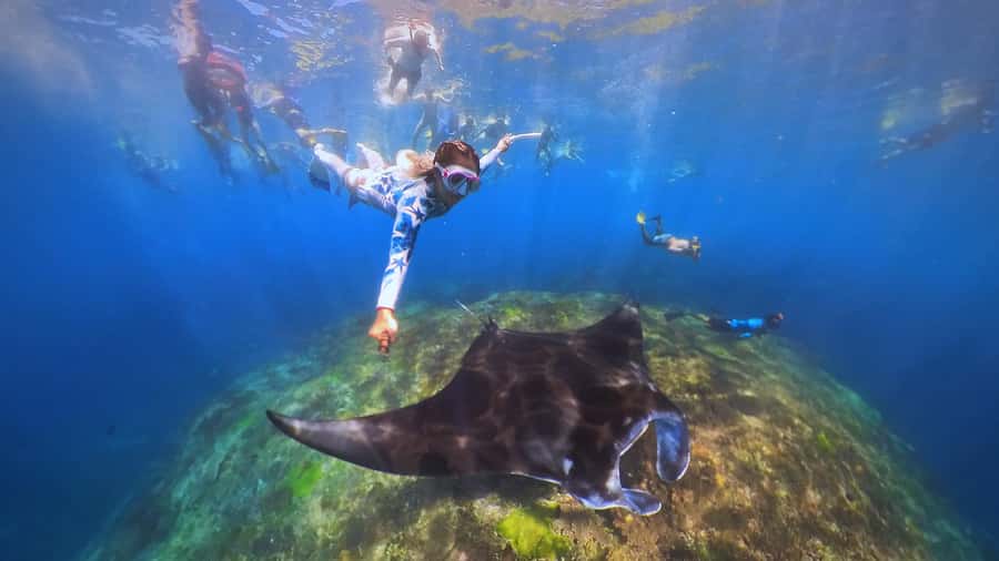Bali: Swim with Manta Rays in Penida, Optional Lunch & Kayak - Boats, swells, and seasickness: what your body needs to know