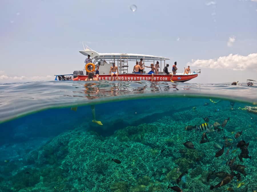 Bali: Swim with Manta Rays in Penida, Optional Lunch & Kayak - What’s included (and what you’ll likely pay for later)