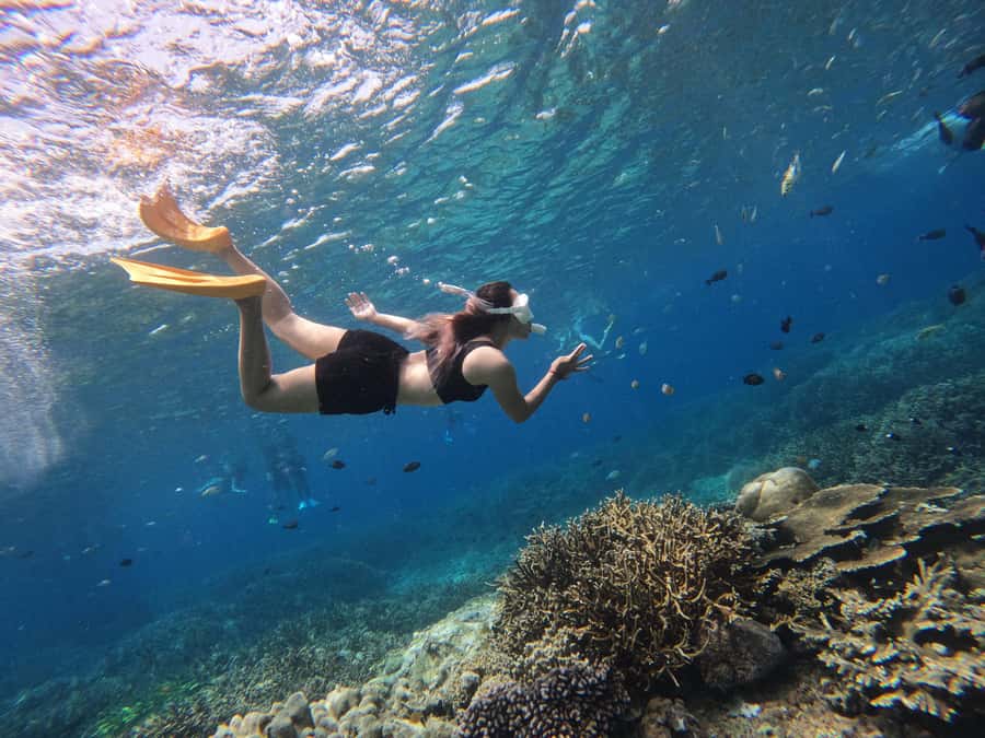 Bali: Swim with Manta Rays in Penida, Optional Lunch & Kayak - Who should book this Bali manta ray snorkeling day trip