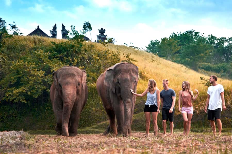 Bali Zoo: Guided Ethical Elephant Care Experience - Why Bali Zoo’s elephant-care format feels worth your time