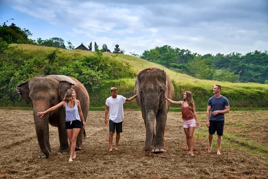 Bali Zoo: Guided Ethical Elephant Care Experience - What happens after pickup at Kampung Sumatra