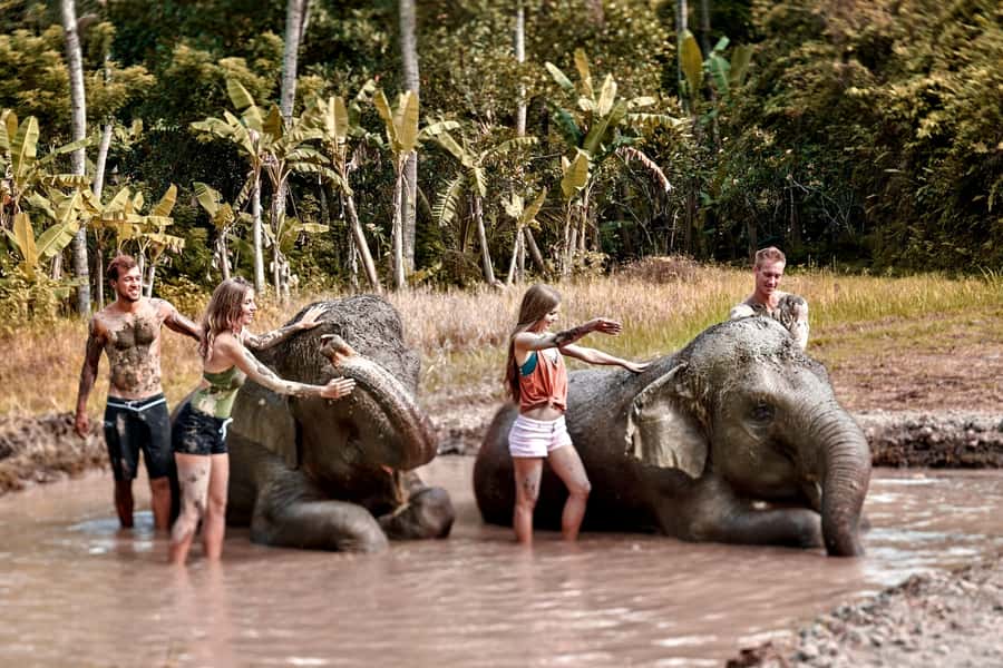 Bali Zoo: Guided Ethical Elephant Care Experience - Feeding time and trunk-toy moments (within strict rules)