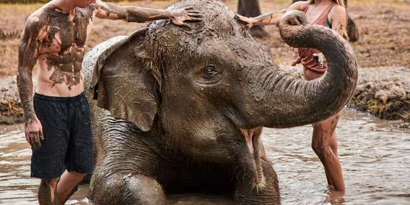 Bali Zoo: Guided Ethical Elephant Care Experience - Scrubbing, brushing, and why caregivers matter