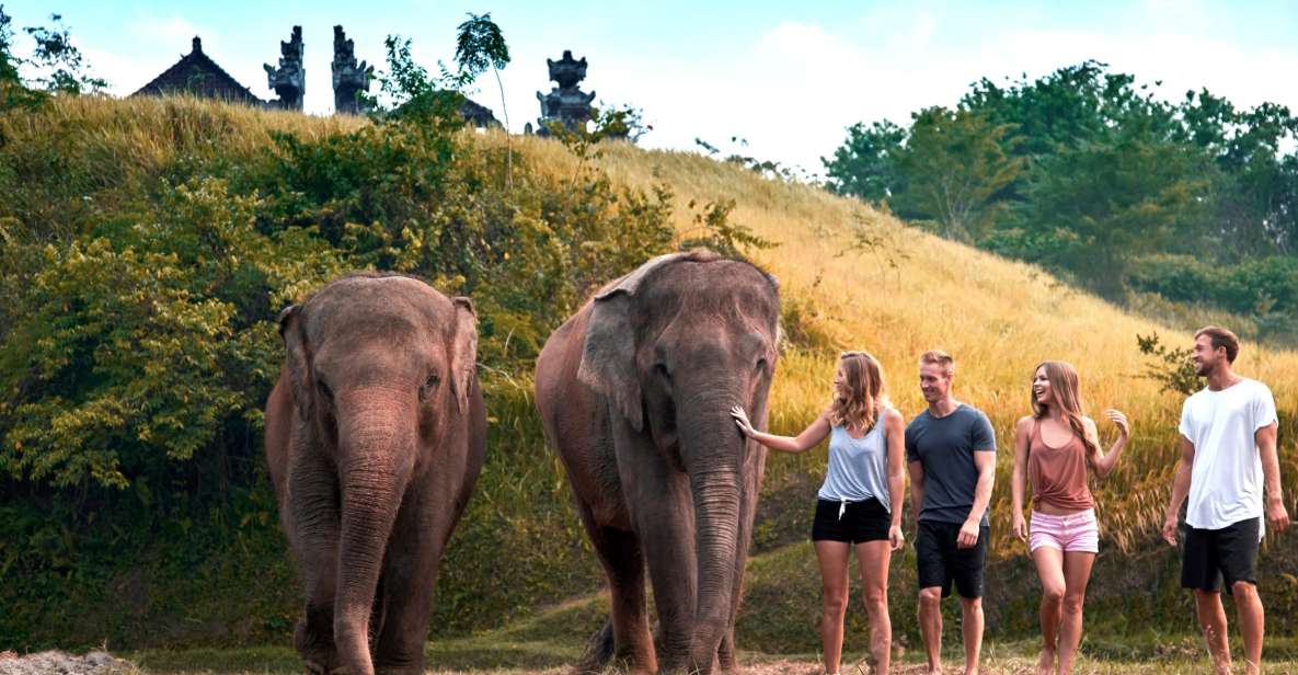 Bali Zoo: Guided Ethical Elephant Care Experience - Lunch, showers, and using the day beyond elephants