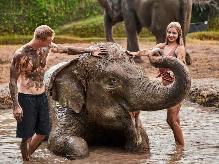 Bali Zoo: Guided Ethical Elephant Care Experience - Mud spa play: the part most people remember