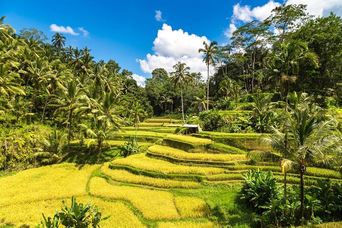 Best of Ubud 1-Day Private Tour - Celuk Village: picking your craft stop without guessing