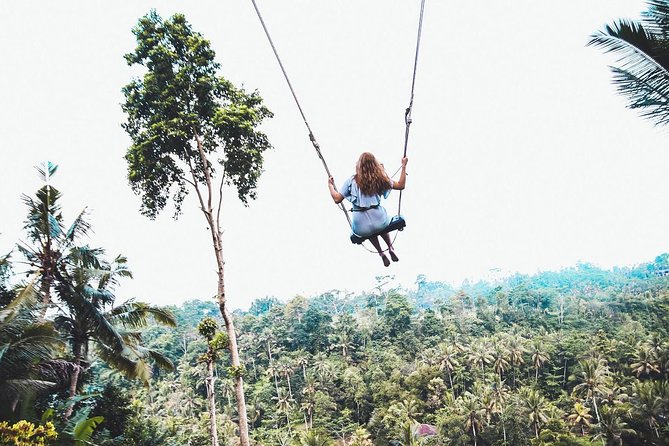 Best of Ubud Full-Day Tour with Jungle Swing - Tegalalang Rice Terraces: farmer life you can actually walk through