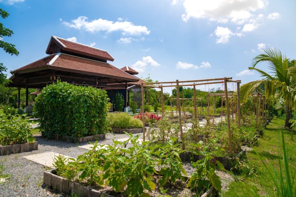 Chiang Mai: Authentic Thai Cooking Class and Farm Visit - Key highlights you’ll actually feel