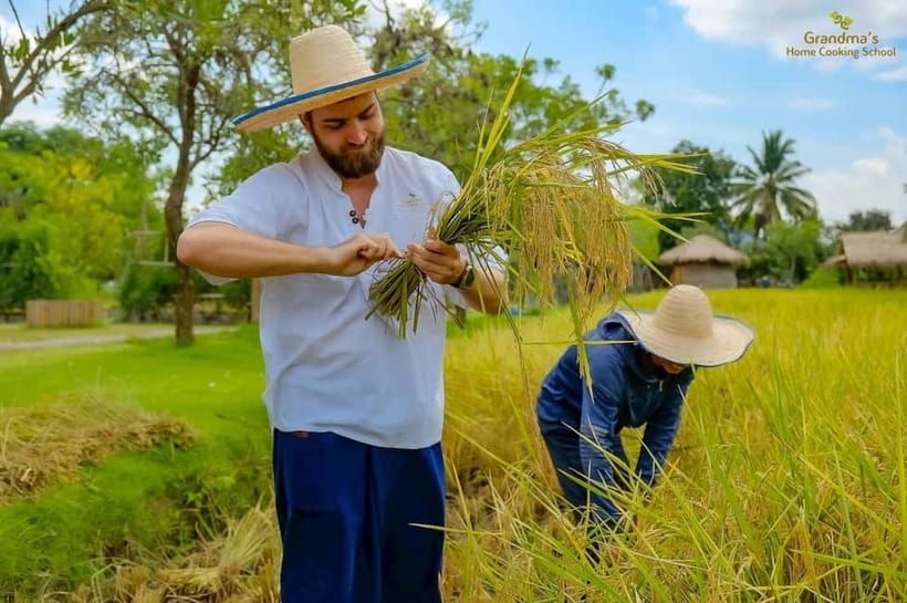 Chiang Mai: Authentic Thai Cooking Class and Farm Visit - Half-day menu flow vs full-day coconut milk tradition
