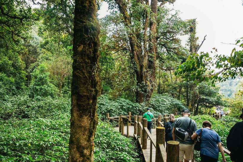 Chiang Mai: Doi Inthanon National Park Eco-Friendly Tour - A 9-hour Doi Inthanon day trip: what you’re really buying for $46
