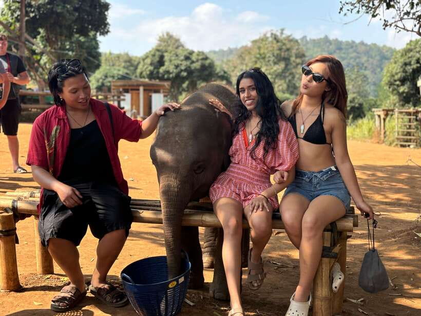 Chiang Mai: Elephant Sanctuary Feeding Program Half-Day Tour - Heading to Pon Elephant Thailand: the drive south of Mae Wang