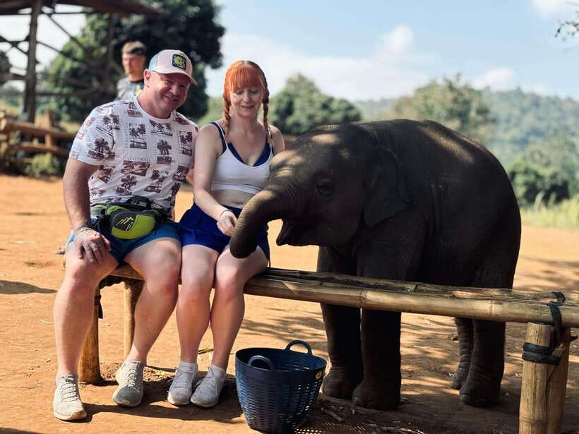 Chiang Mai: Elephant Sanctuary Feeding Program Half-Day Tour - Walking the forest path: the real pace is on the ground