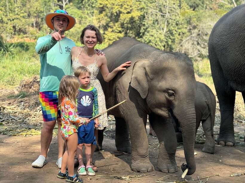 Chiang Mai: Elephant Sanctuary Feeding Program Half-Day Tour - Feeding time: Napier grass, sugarcane, bananas, and herbal treats