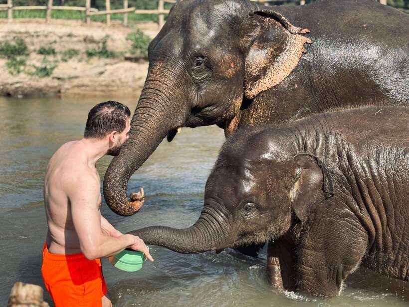 Chiang Mai: Elephant Sanctuary Feeding Program Half-Day Tour - What makes this feel ethical: the rules you can actually see