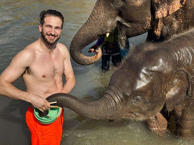 Chiang Mai: Elephant Sanctuary Feeding Program Half-Day Tour - Timing and value: why half a day works here