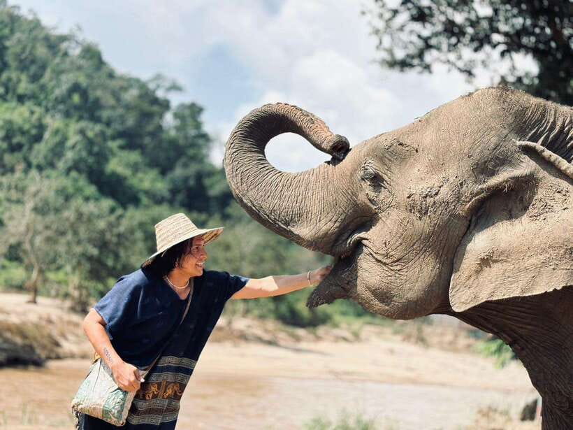 Chiang Mai: Elephant Sanctuary, Long Neck & Sticky Waterfall - Key highlights worth aiming for