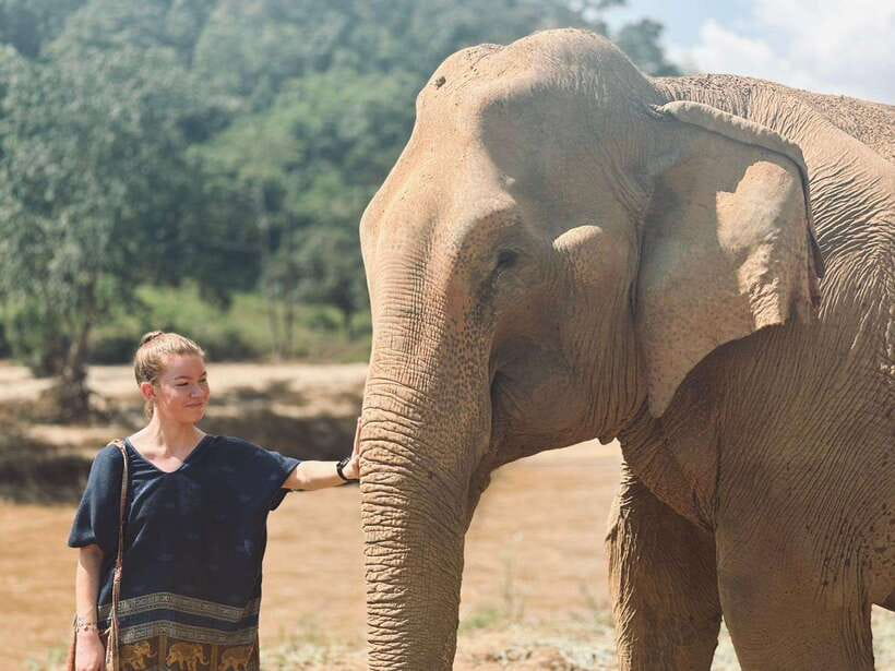 Chiang Mai: Elephant Sanctuary, Long Neck & Sticky Waterfall - The river bath: when the day becomes truly physical
