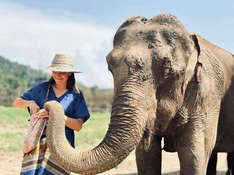 Chiang Mai: Elephant Sanctuary, Long Neck & Sticky Waterfall - Guide quality and how the day stays on time (Fluke, Amy, Paul, Tiger)