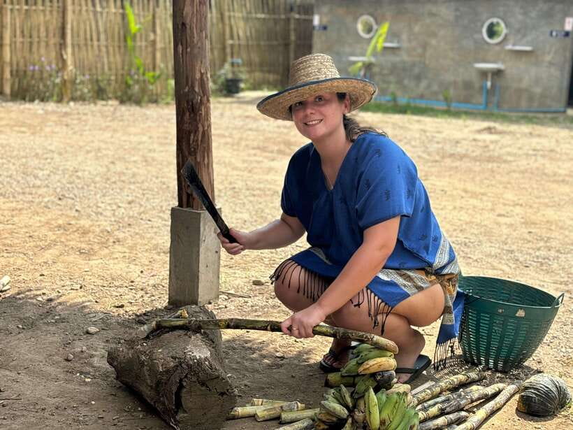 Chiang Mai: Elephant Sanctuary, Long Neck & Sticky Waterfall - Price and value: is $63 fair for a 9-hour day?