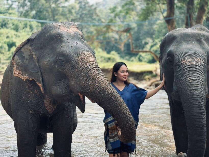 Chiang Mai: Elephant Sanctuary, Long Neck & Sticky Waterfall - Becoming an elephant caretaker: herbal treats, feeding, and a forest walk