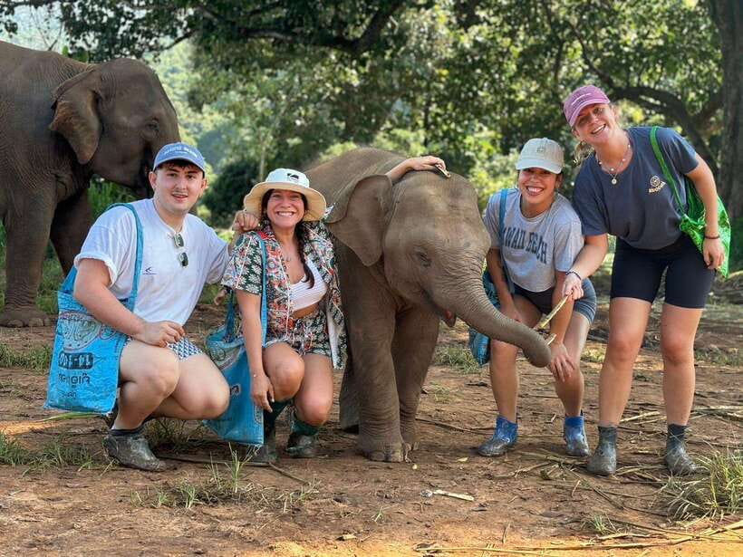 Chiang Mai: Elephant Sanctuary, Waterfall & Bamboo Rafting - Mae Wang Waterfalls: Swim Time, Climbing Energy, and a Good Reset