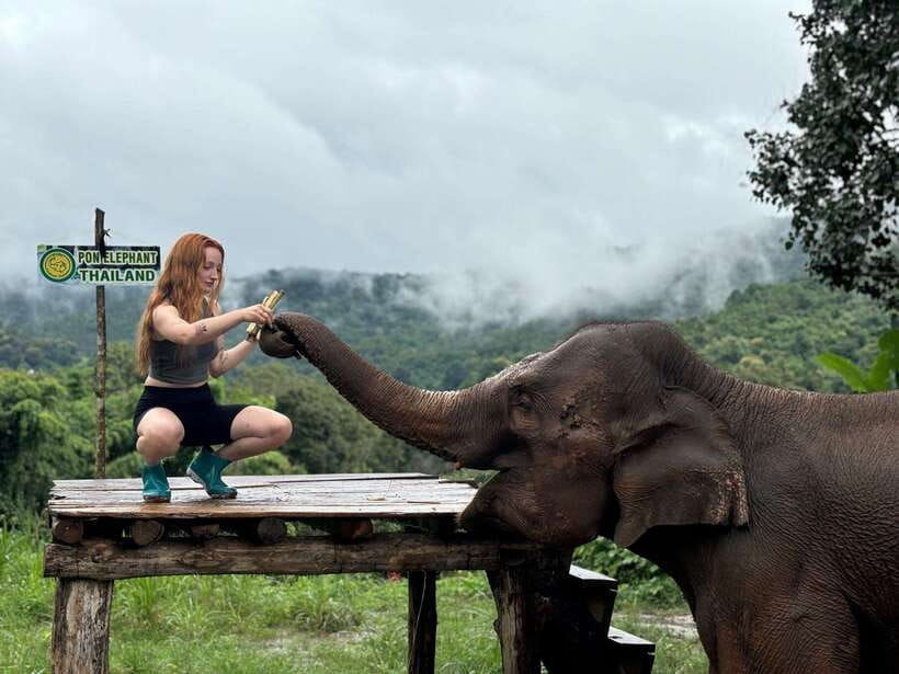 Chiang Mai: Elephant Sanctuary, Waterfall & Bamboo Rafting - Pon Elephant Sanctuary: What Ethical Interaction Looks Like